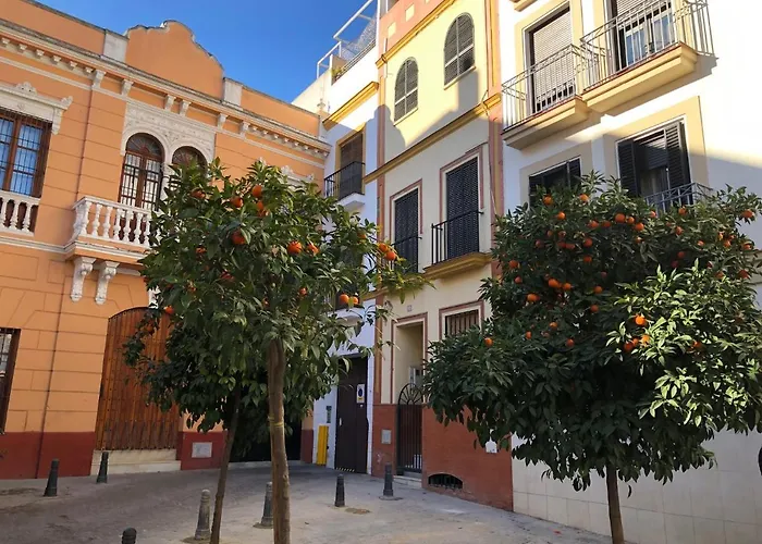 Unique House - Private Spa&Pool -Stayinseville
